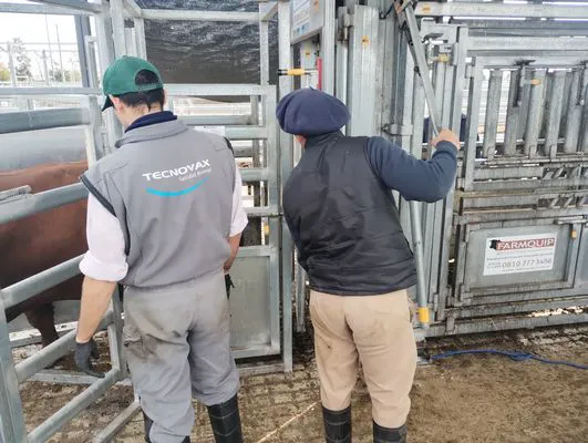 tn_IMG_20250604_121916691