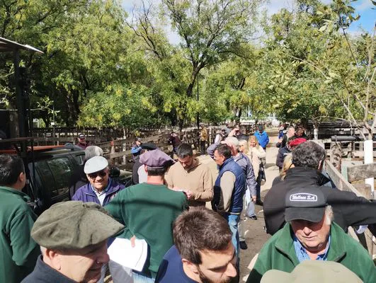 tn_IMG_20250404_145040497