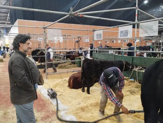 tn_IMG_20250520_110606622