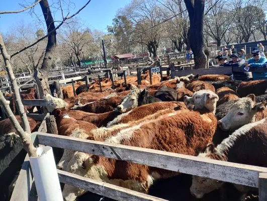 tn_IMG_20240829_144312525_HDR