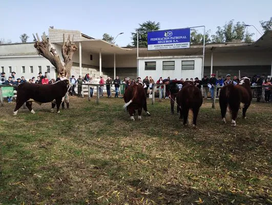 tn_IMG_20240530_144031559