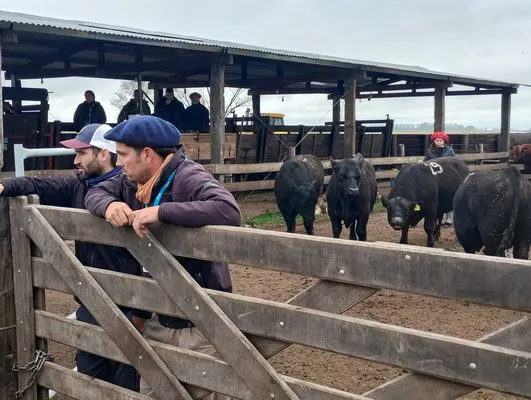 tn_IMG_20240806_120859740_HDR