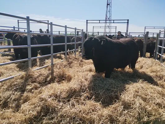 tn_IMG_20240924_103336597