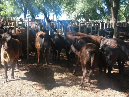 tn_IMG_20231213_094647958