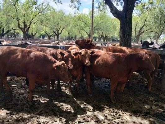 tn_IMG_20240221_121832153_HDR