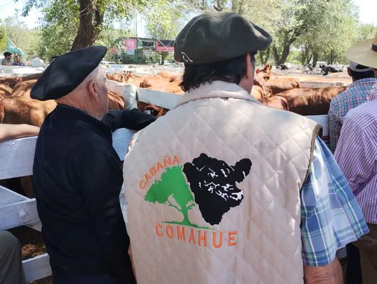 tn_IMG_20241026_123438021