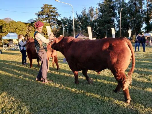 tn_IMG_20240502_173846860_HDR