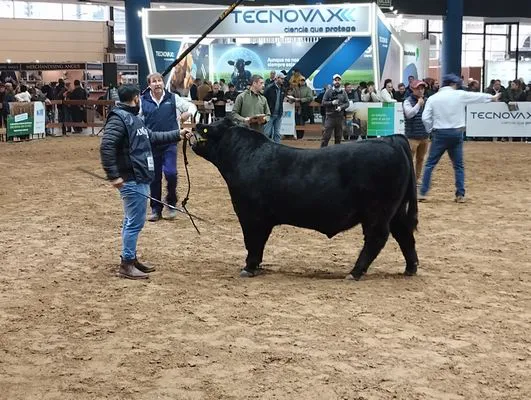 tn_IMG_20240522_163604524