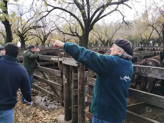 tn_IMG_20240529_122109015