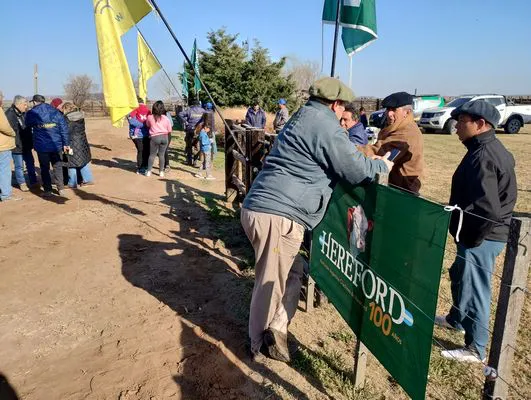 tn_IMG_20240711_113514971_HDR