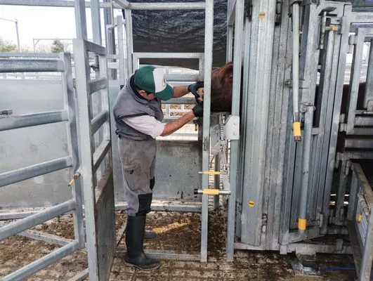 tn_IMG_20250604_122037836