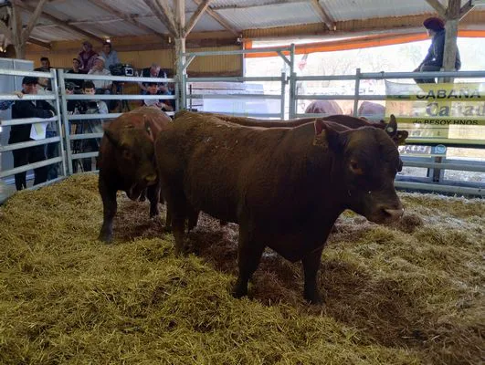 tn_IMG_20240925_123938897_HDR