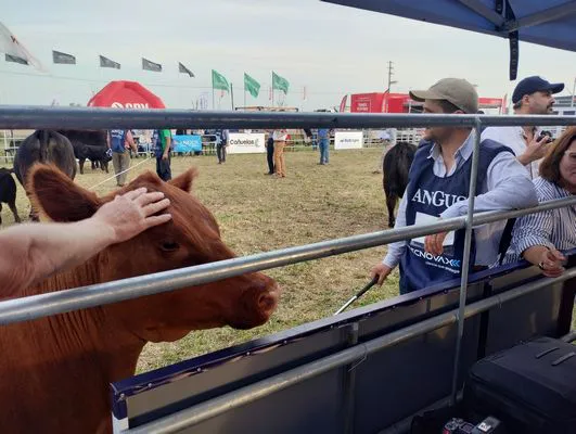 tn_IMG_20240918_180012534_HDR