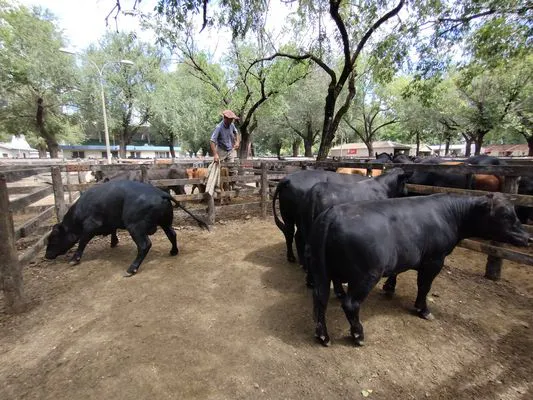 tn_IMG_20240221_125144557