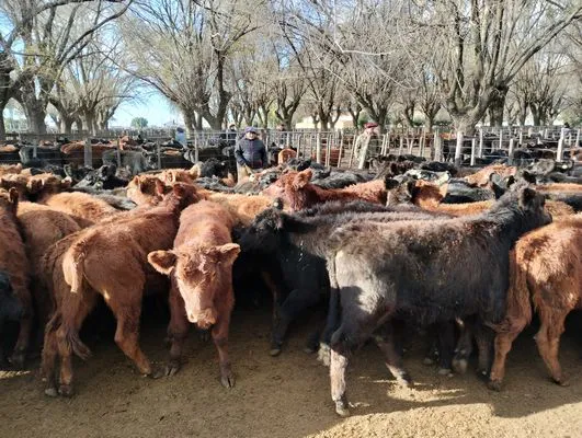 tn_IMG_20240628_152047946_HDR