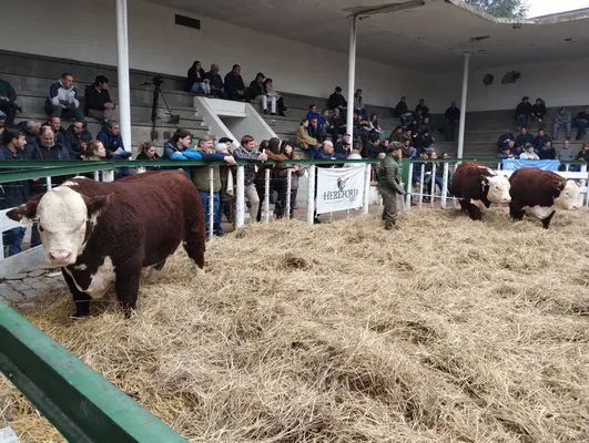 tn_IMG_20240601_122118577