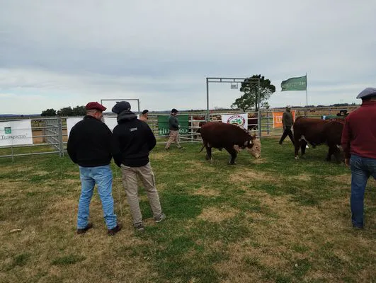 tn_IMG_20240614_144218828