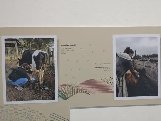 tn_IMG_20241015_185341082