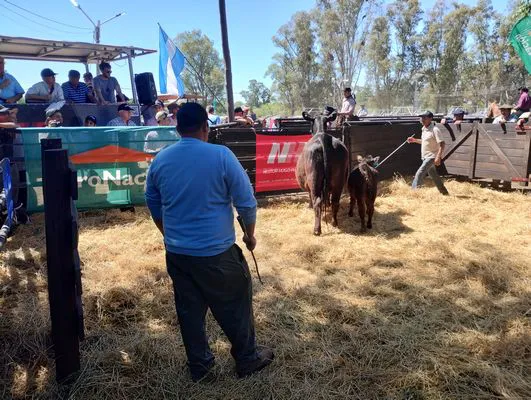 tn_IMG_20241026_145145615_HDR