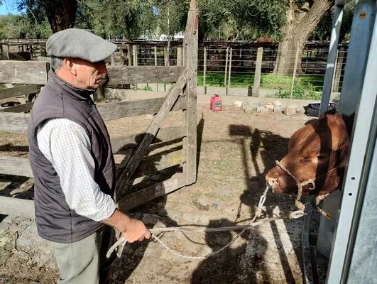 tn_IMG_20240501_105457841_HDR