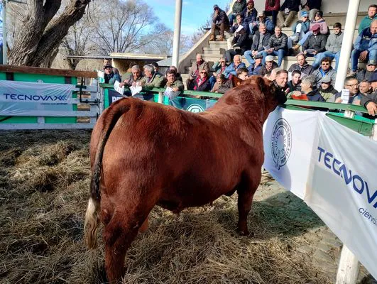 tn_IMG_20240625_150641203_HDR