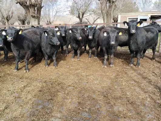 tn_IMG_20240625_115218934