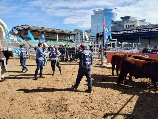 tn_IMG_20250521_130101877_HDR