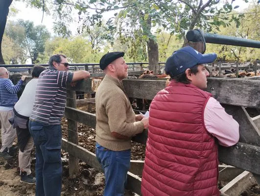 tn_IMG_20250514_132057259