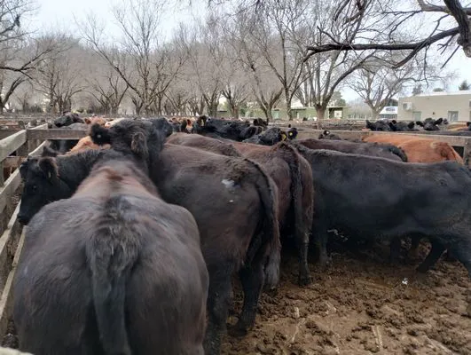 tn_IMG_20240626_113559824_HDR