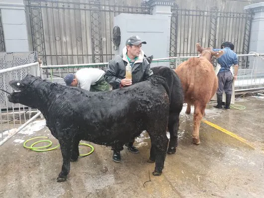 tn_IMG_20250519_103418182