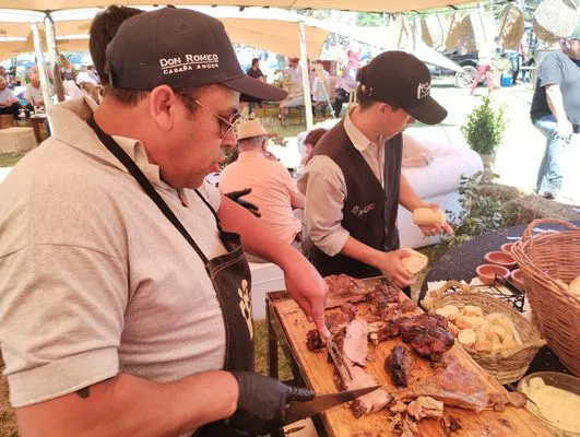 tn_IMG_20241018_131612392_HDR