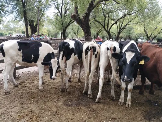 tn_IMG_20240306_150105693