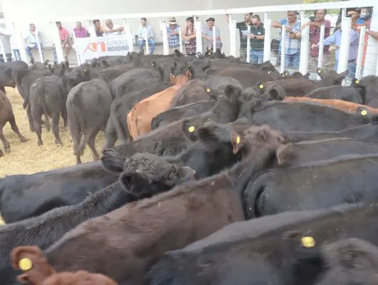 tn_IMG_20240221_142526238