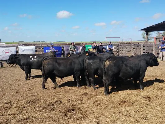 tn_IMG_20250409_121101534