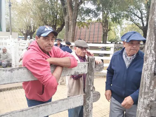 tn_IMG_20250425_152419634