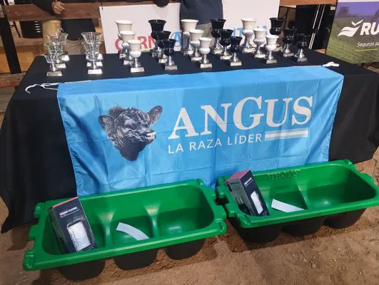 tn_IMG_20250520_195359028