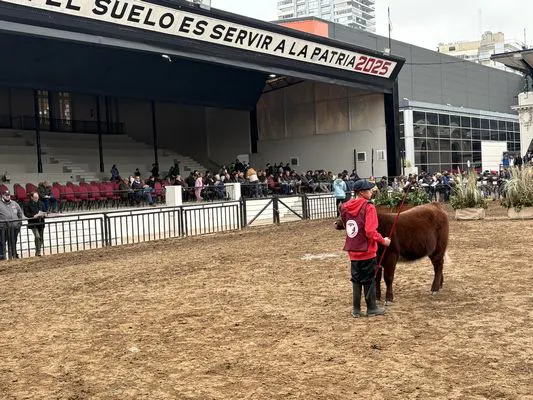 tn_LOS NARANJOS 970E