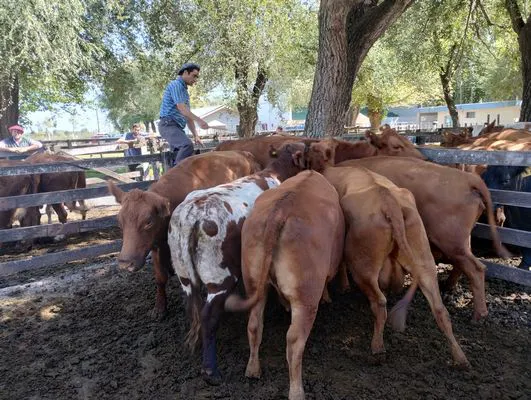 tn_IMG_20240326_140020119_HDR