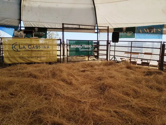 tn_IMG_20240711_132157338