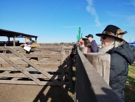 tn_IMG_20240611_114817781