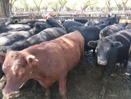 tn_IMG_20240326_134944345