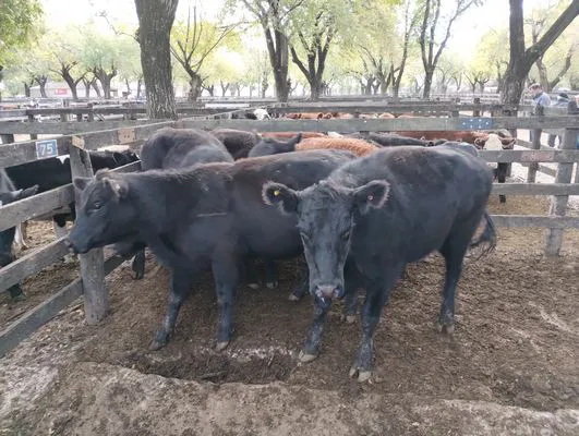 tn_IMG_20240430_155027570