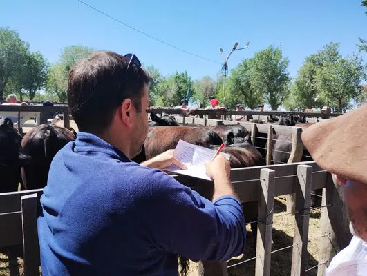 tn_IMG_20241026_113216907