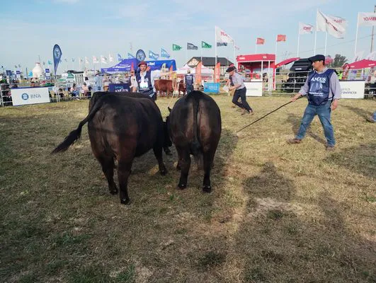 tn_IMG_20240918_171735005