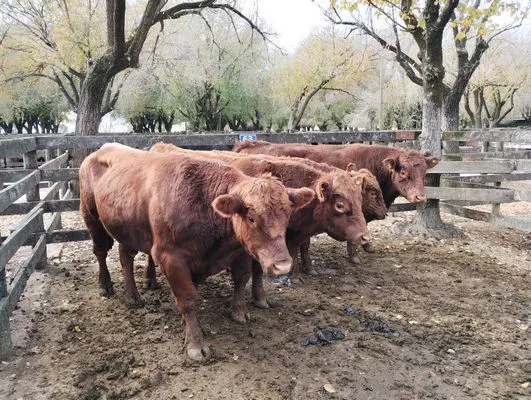 tn_IMG_20240529_123800864