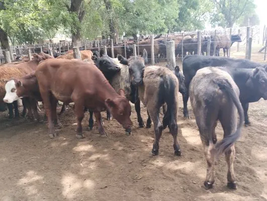 tn_IMG_20241211_121624207