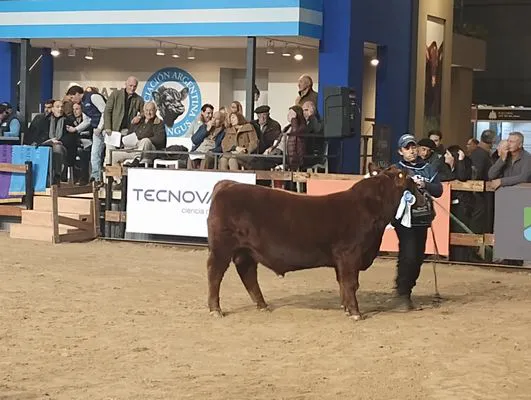 tn_IMG_20250521_170249566