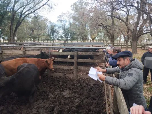 tn_IMG_20250505_155227938