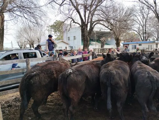 tn_IMG_20240718_150323959_HDR