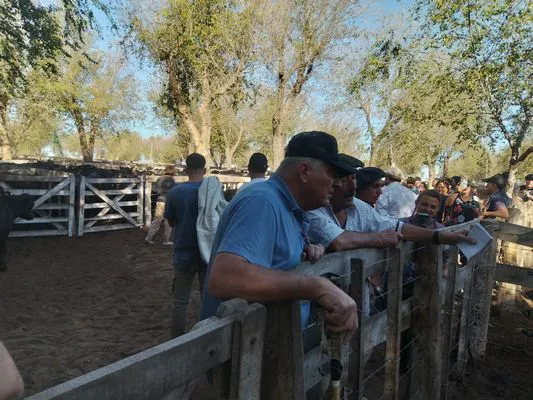 tn_IMG_20240405_165154136_HDR